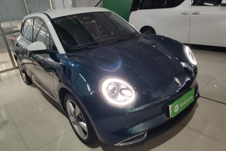 Used ORA Good Cat 2022 Morandi Edition 400km Standard Range Luxury Version Lithium Iron Phosphate
