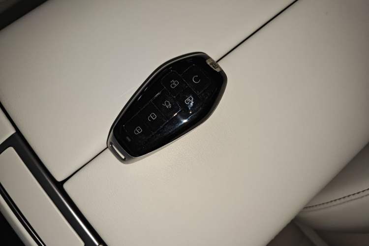 Used Denza D9 2025 DM-i Intelligent Drive 1020 Four-Wheel Drive Flagship Model