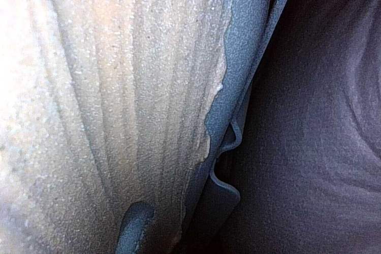 Used Lynk & Co 08 EM-P 2023 220km All-Wheel-Drive Performance Halo
