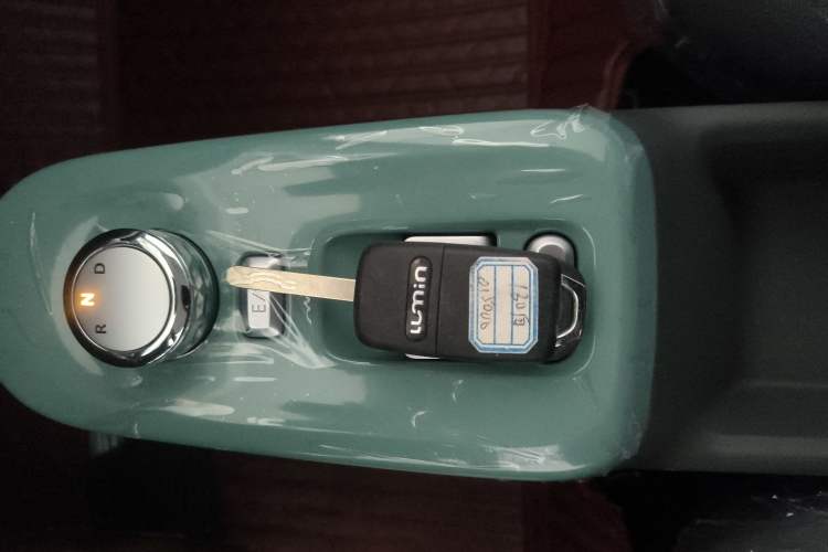 Used  Lumin 2024 130km Qingyue Version
