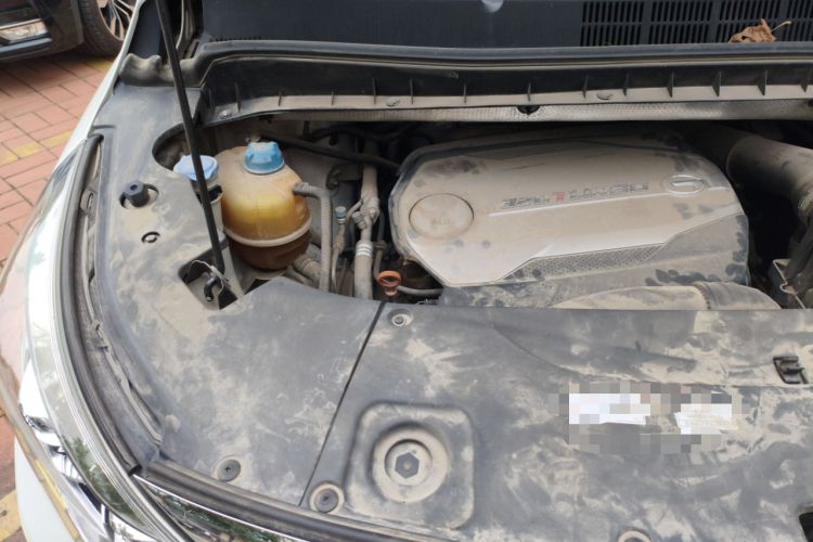 Used GAC Trumpchi M8 2018 320T Luxury Edition
