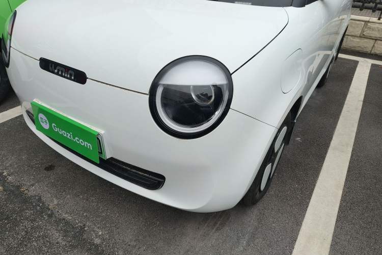Used Qiyuan Lumin 2023 205km Xiangqin Version

