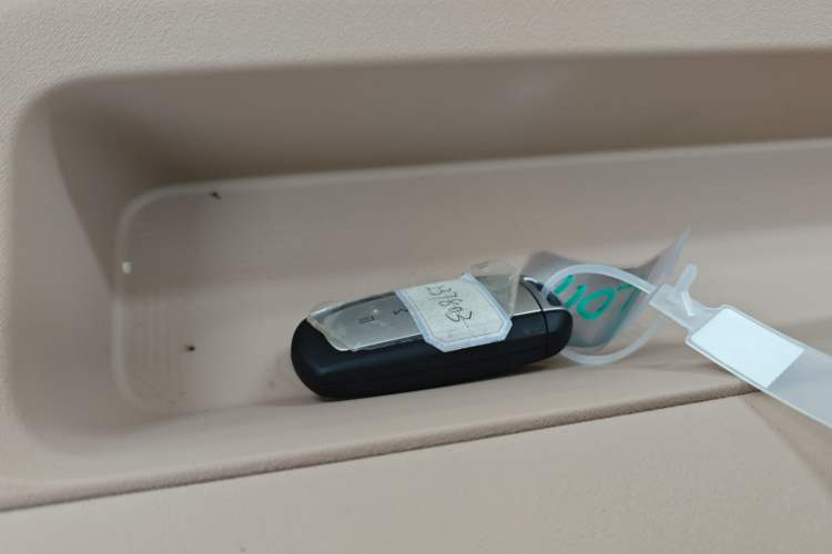 Used  Panda 2024 Panda Mini 200km Endurance Bear