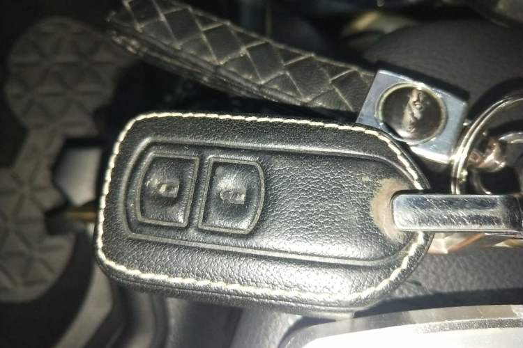 Used Toyota Wildlander 2023 2.0L CVT Four-Wheel Drive Luxury PLUS Edition
