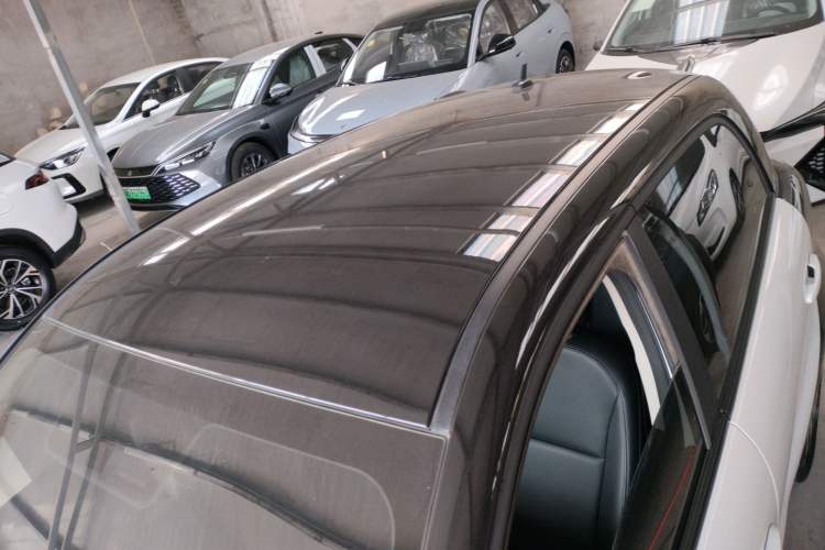 Used ORA Black Cat 2019 351 km Family Edition
