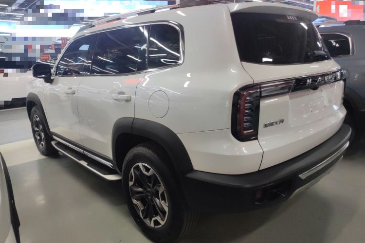 Used Haval DARGO 2022 2.0T DCT 4x4 Chinese Rural Dog Edition
