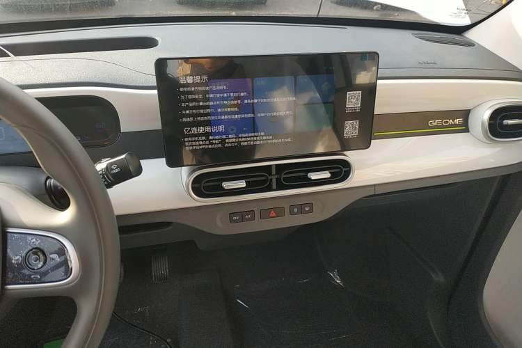 Used  Panda 2025 210 km – Yuanqi Bear
