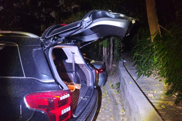 Used GAC Trumpchi GS8 2017 320T Two-Wheel Drive Luxury Smart Connectivity Version (7 Seats)
