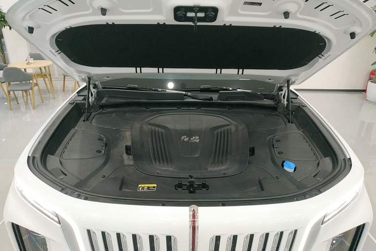 Used Hongqi E-HS9 2022 690 km Range Flagship Edition Six Seats
