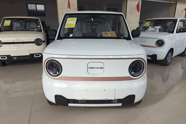 Used  Panda 2024 Panda Mini 200km Endurance Bear