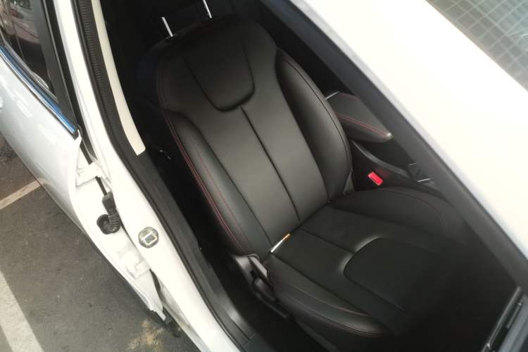 Used Dayun Yuehu 2021 32.85 kWh Two-Wheel-Drive Sprite Version
