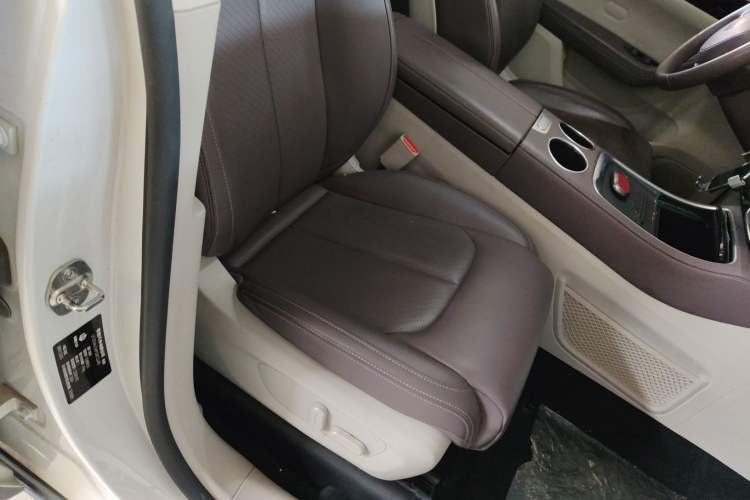 Used Leapmotor C11 2023 Pure Electric 500 Comfort Edition