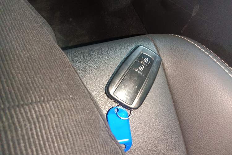 Used Toyota Wildlander 2020 2.0L CVT Two-Wheel Drive Luxury Edition