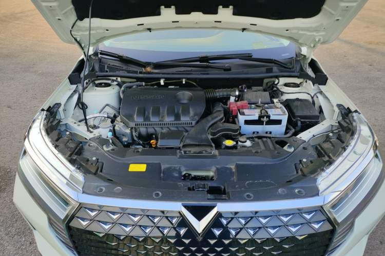 Used Venucia D60 2023 PLUS 1.6L XL CVT Yue Ling Edition
