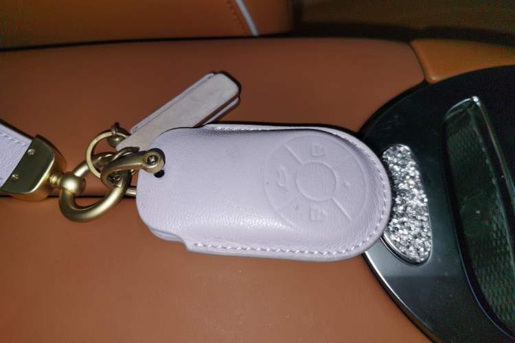 Used ORA Lightning Cat 2022 555 km Luxury Edition
