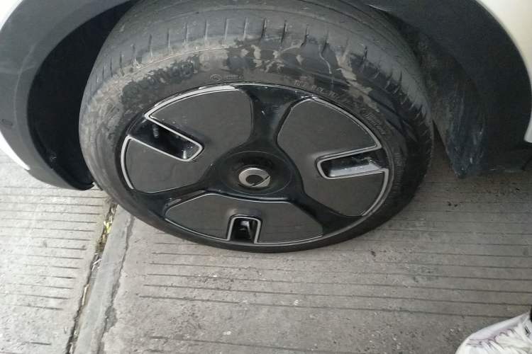 Used  #1 2022 Premium Edition
