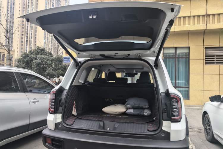 Used Haval DARGO 2021 1.5T DCT Two-Wheel Drive Border Collie Edition
