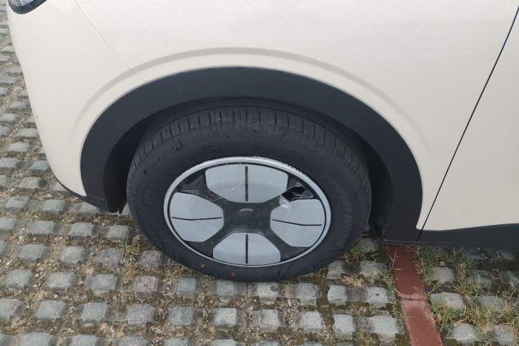 Used  Geome 2025 410 km Free Version
