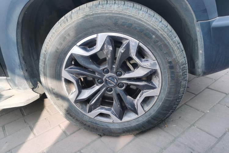 Used Haval DARGO 2021 2.0T DCT 4x4 Chinese Rural Dog Edition
