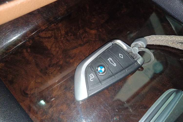 Used BMW 5 Series 2018 528Li Launch Special Edition
