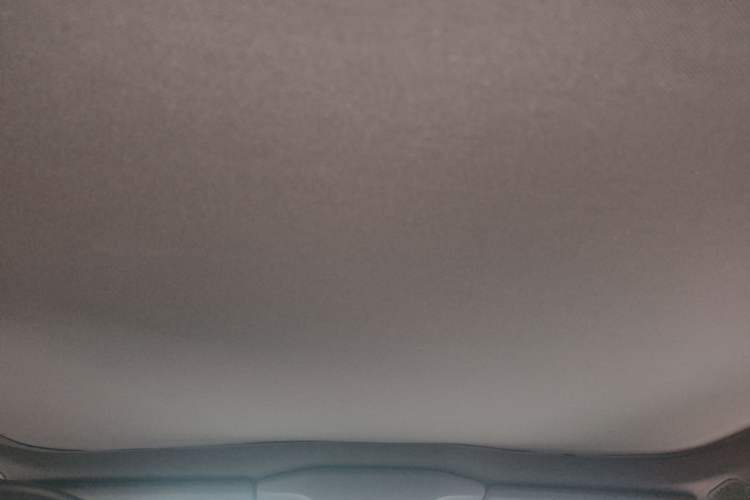 Used  06 2025 Max Extended-Range Edition
