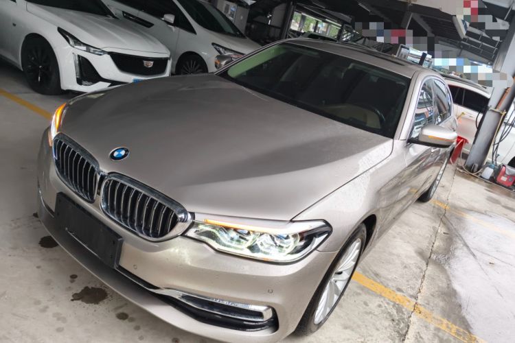 Used BMW 5 Series 2020 530Li Leading Edition Luxury Package
