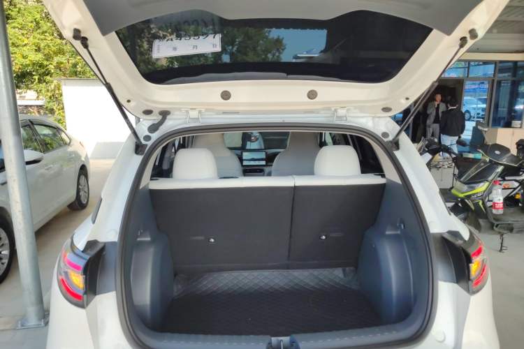 Used  Geome 2025 310km Youth Edition