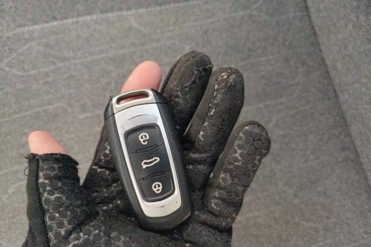 Used  Panda 2023 Panda Mini 200km Dynamic Bear
