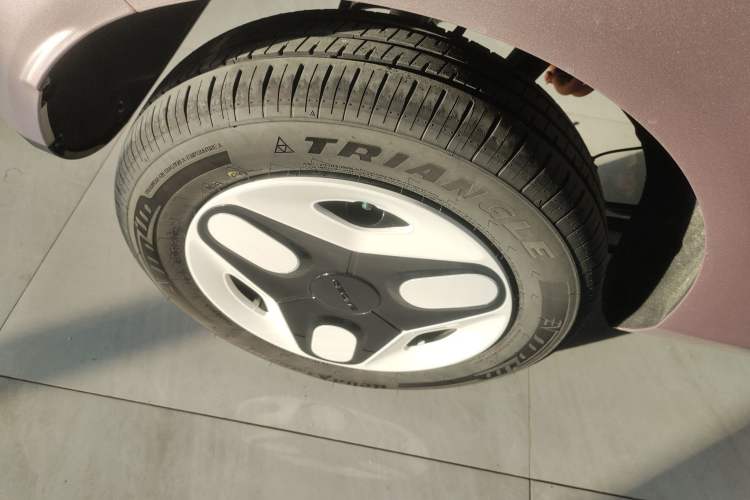 Used  Panda 2025 210 km – Yuanqi Bear
