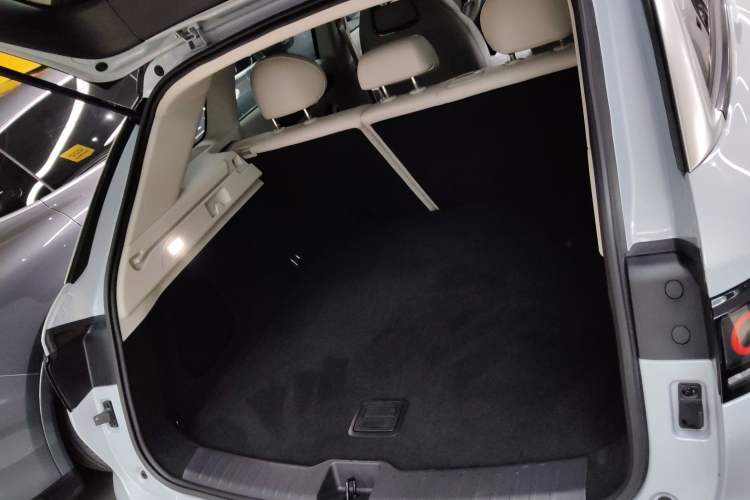 Used Leapmotor C11 2023 Pure Electric 500 Smart Edition
