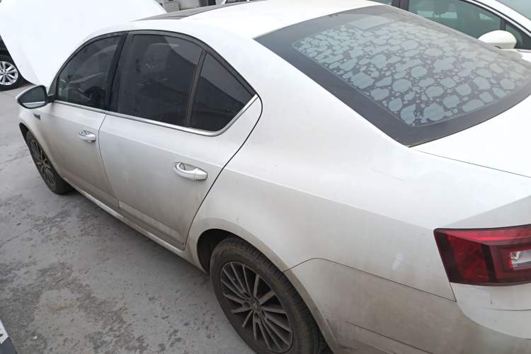 Used Skoda Octavia 2019 TSI230 DSG Luxury Edition