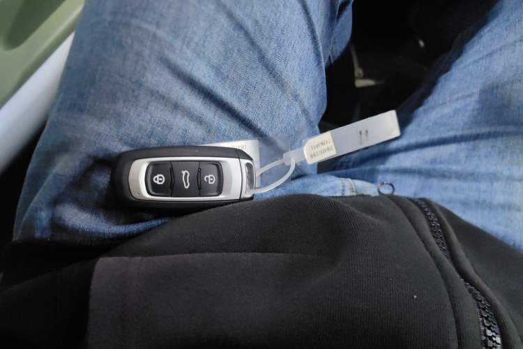 Used  Panda 2025 210km Panda Kart