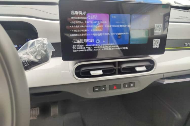 Used  Panda 2025 210 km – Yuanqi Bear
