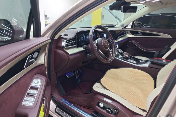 Used Hongqi H9 2020 3.0T Smart Connect Flagship Four-Seat Version
