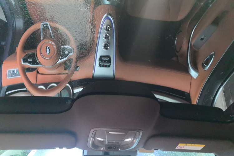 Used ORA Lightning Cat 2022 555 km Luxury Edition
