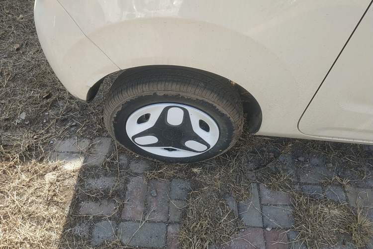 Used  Panda 2025 210 km – Yuanqi Bear
