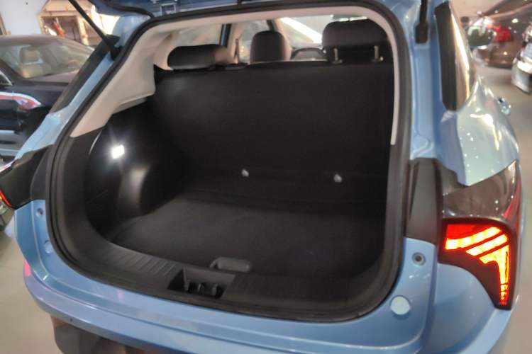 Used NETA V 2021 Long-Range Entertainment Edition Upgrade Model
