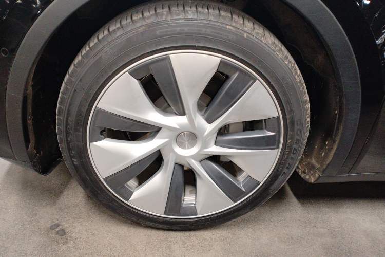 Used Tesla Model Y 2021 Standard Range Rear-Wheel Drive Version