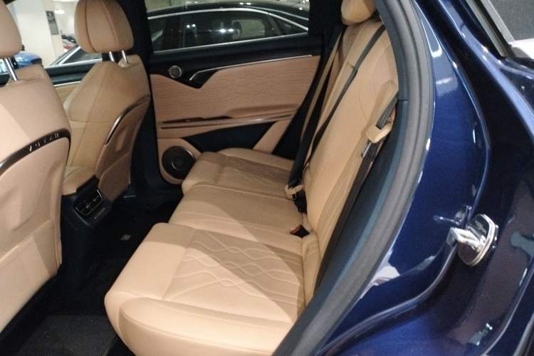 Used VOYAH FREE 2021 Four-Wheel Drive Standard Range-Extended Exclusive Luxury Package