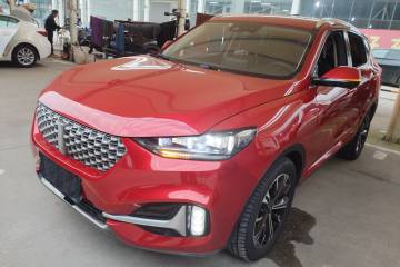 Used Wey VV6 2021 2.0T Two-Wheel Drive Smart Plus