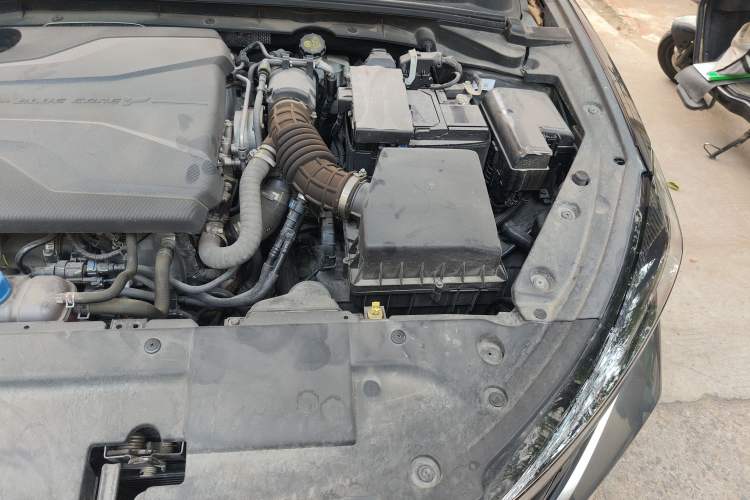 Used Changan Eado 2022 PLUS Blue Whale NE 1.4T GDI DCT Flagship Edition
