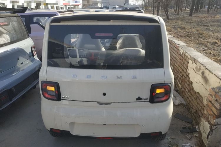 Used  Panda 2025 210 km – Yuanqi Bear