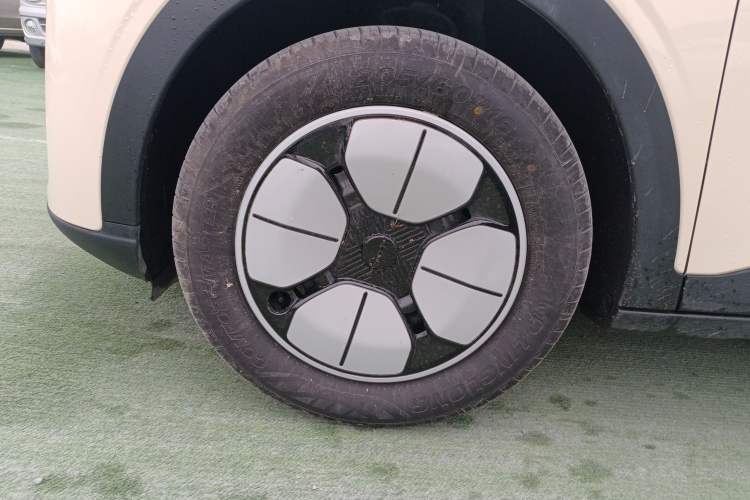 Used  Geome 2025 410 km Free Version
