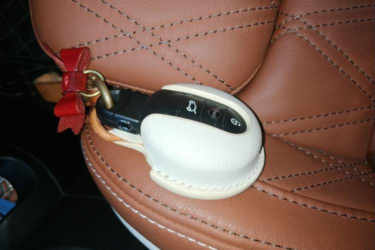 Used MINI MINI 2022 1.5T COOPER Artist Five-Door Edition