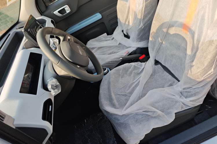 Used  Panda 2024 Panda Mini 200km Endurance Bear
