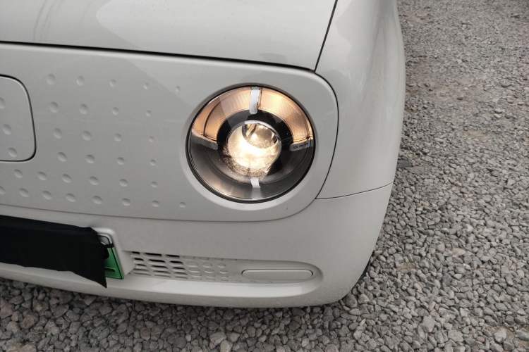 Used ORA Black Cat 2021 301 km Basic Version