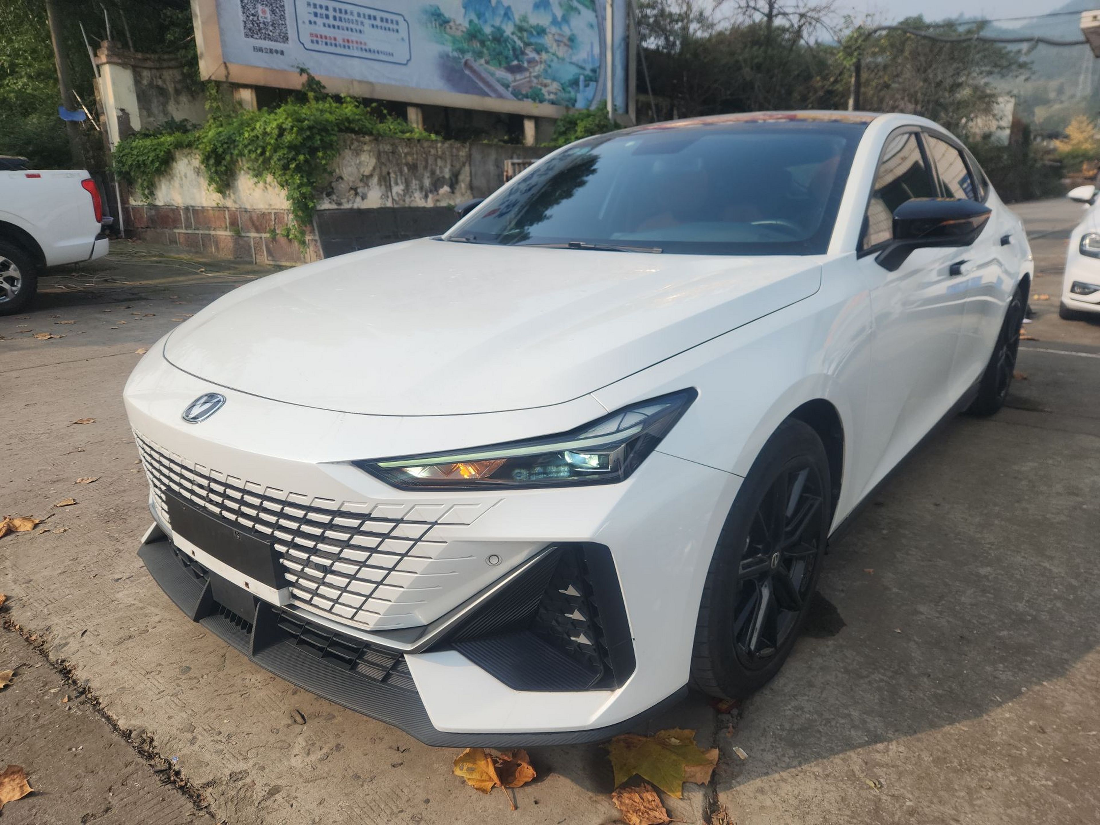 تحت مقدمة السيارة