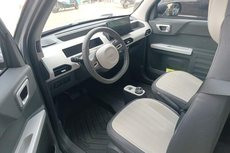 Used  Panda 2024 200km Panda Kart
