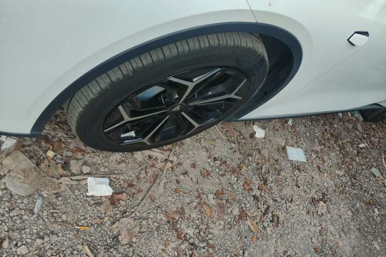 Used  SL03 2024 135Plus Glory Edition
