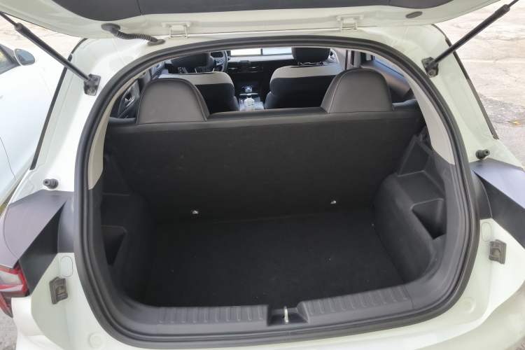 Used Geometry E Firefly 2022 320KM Cute Tiger 4-Seater
